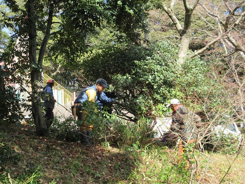 画像の説明 画像の説明