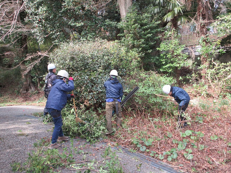 画像の説明 画像の説明
